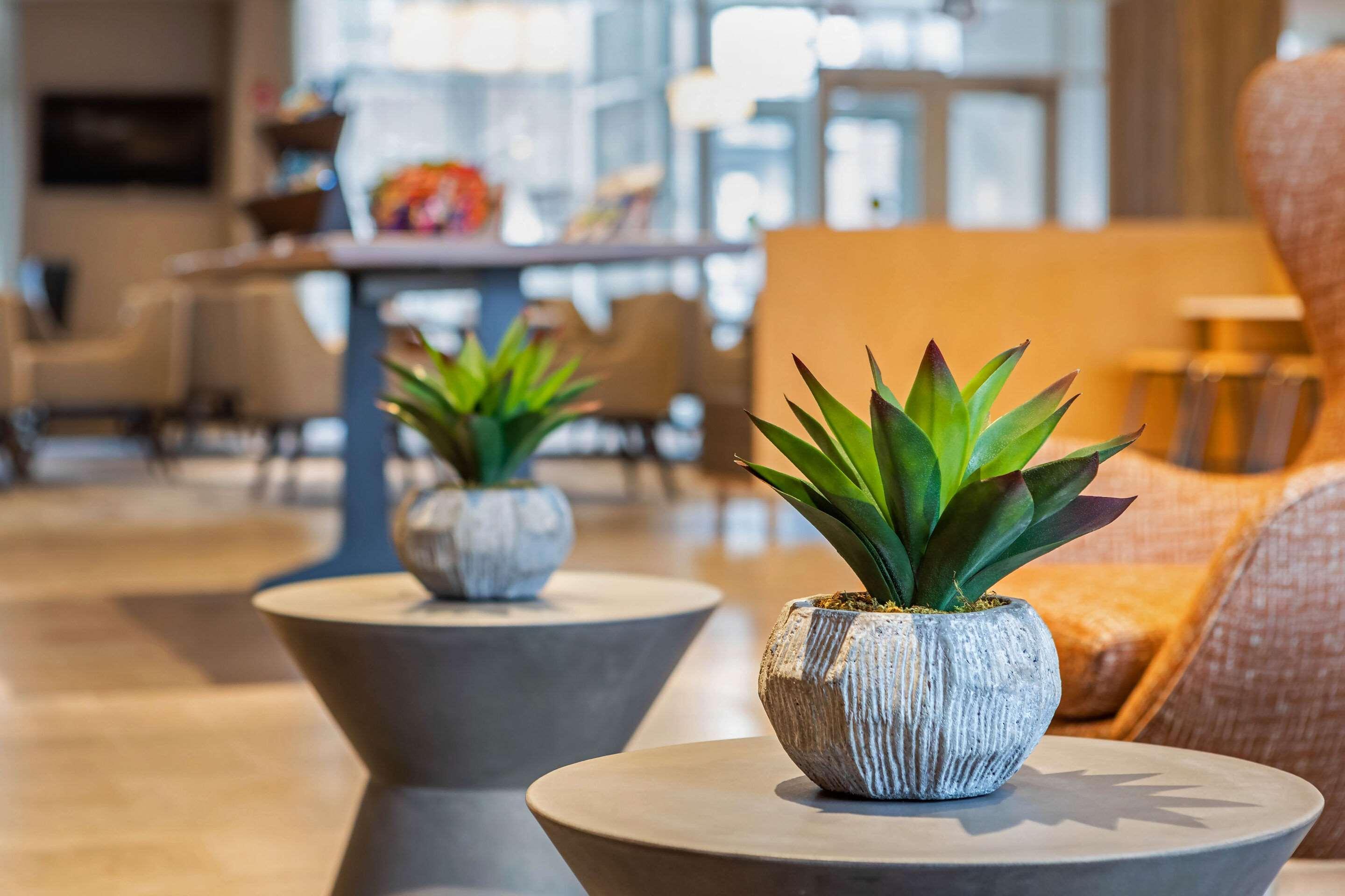 Cambria Hotel Calabasas - Malibu Exteriér fotografie